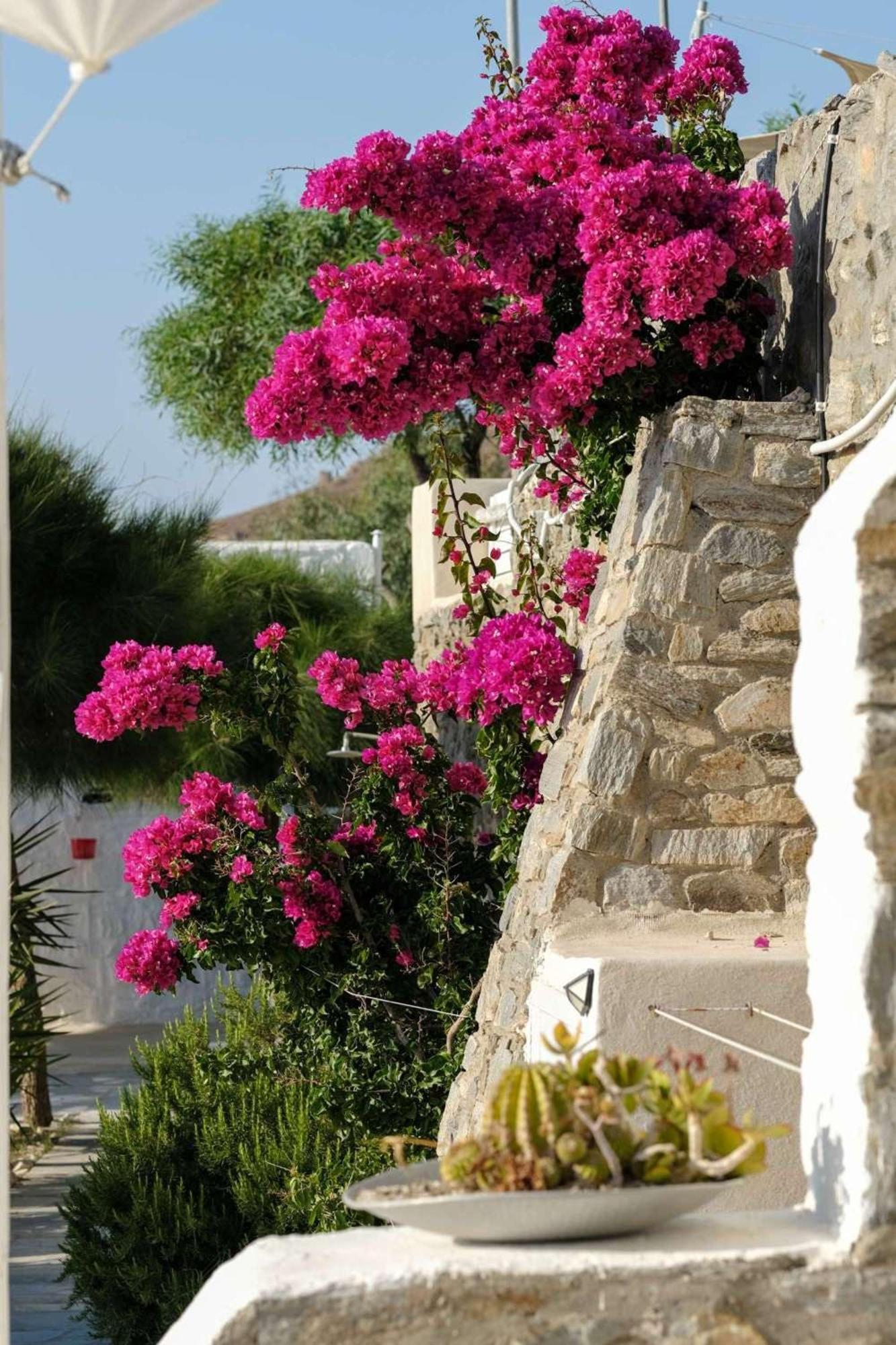 3 Paros All Season Villas Exterior photo